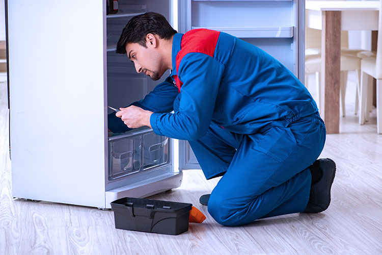 Samsung refrigerator repair and maintenance